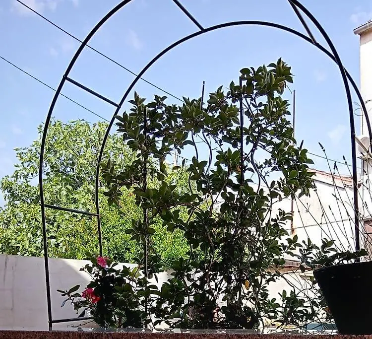 Apartma Nada, Tu Boste V Centru Poletnega Utripa Pula
