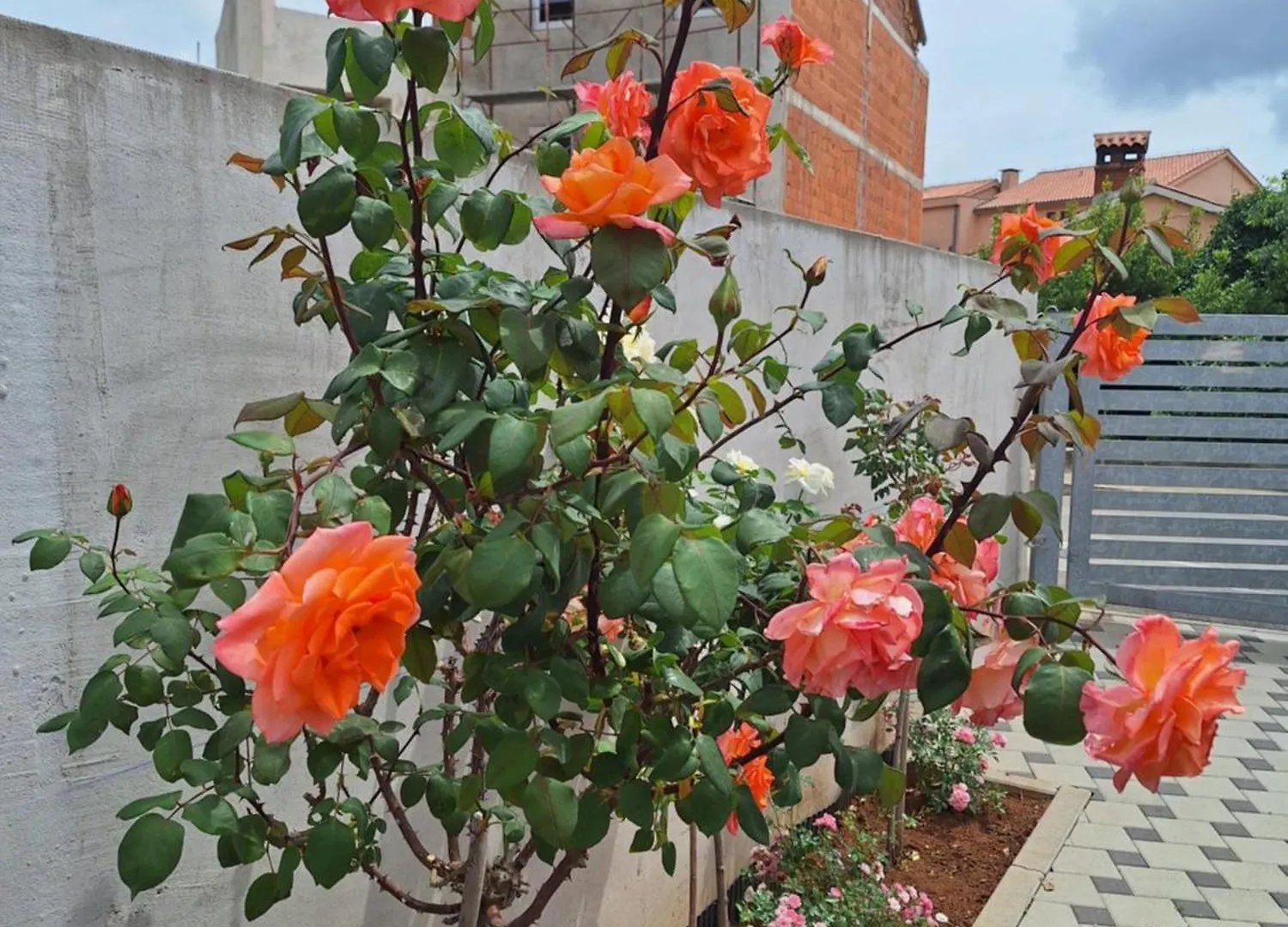 Apartma Nada, Tu Boste V Centru Poletnega Utripa Pula Apartment
